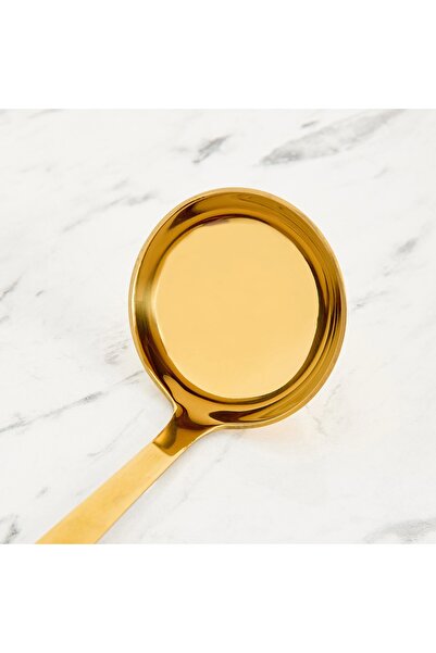 Generic Gerrha Stainless Serving Spoon Multi