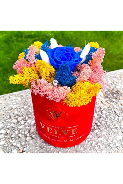 velve Aranjament floral LYA, cu licheni naturali stabilizati, lagurus, trandafir criogenat,Roz/Albastru