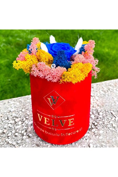 velve Aranjament floral LYA, cu licheni naturali stabilizati, lagurus, trandafir criogenat,Roz/Albastru