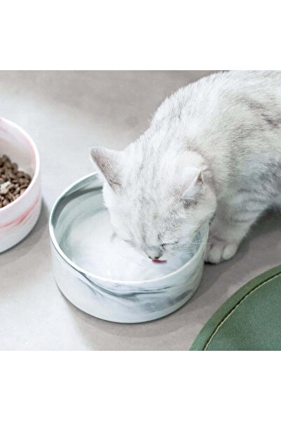 ANIMALIQUE Set of 2 ceramic bowls with stand, for animals - 400 ml