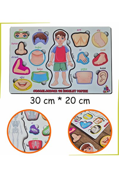 Ankebut أنا أتعلم جسدي - ألغز نظام الهيكل العظمي - اعثر على الحل