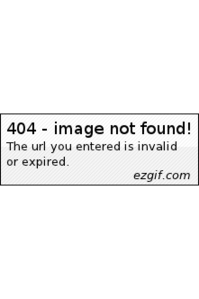 Pro Plan Large Robust Adult - Chicken - 14kg