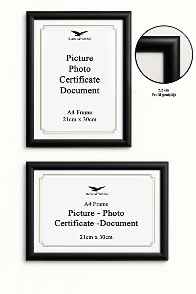 Raven Art Studio Pergamon A4 Ebat 21cm x 30cm Resim Fotoğraf Belge Poster Evr...