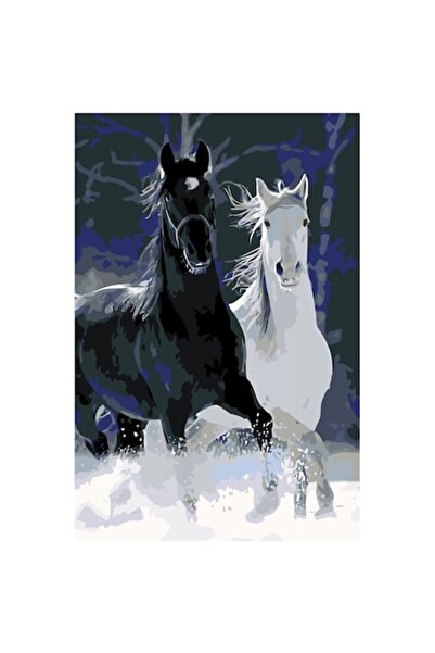 Painting by numbers Set pictura pe numere Cai alb si negru, panza bumbac pe r...