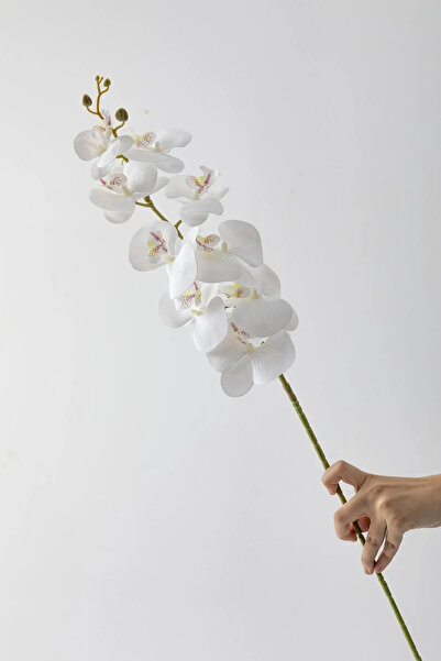 fesleğen çiçek Yapay Islak Orkide Çiçeği Beyaz Tek Dal 100 cm