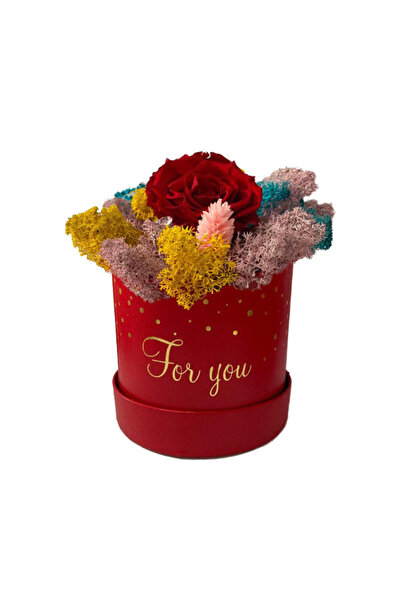 velve Trandafir criogenat Amour Rouge decorat in cutie cu licheni naturali stabilizati, Albastru