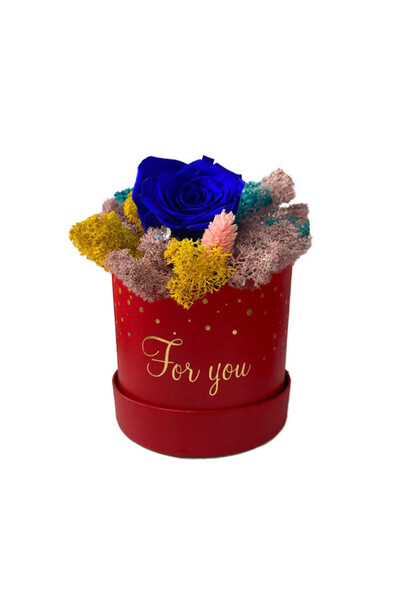 velve Trandafir criogenat Amour Rouge decorat in cutie cu licheni naturali st...