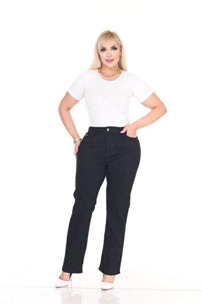Era Lisa Pleated Pipe Leg High Waist Comfortable Fit Plus Size Soft Denim Pants