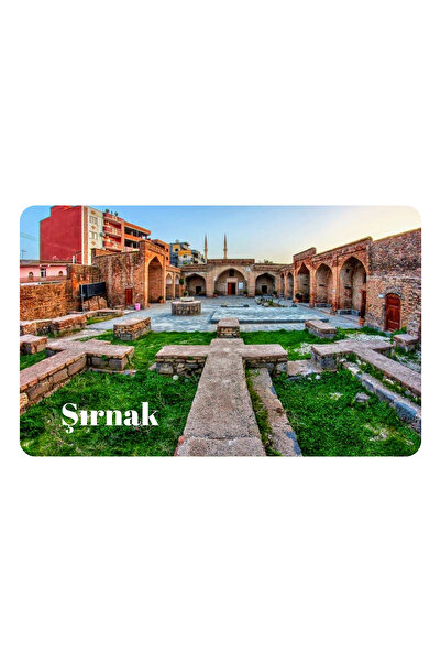 Vera Buzdolabı Magneti - Şırnak Magneti