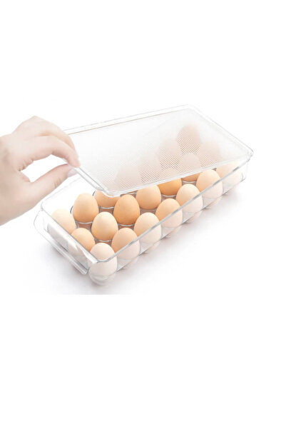 The comprehensive house حافظه بيض