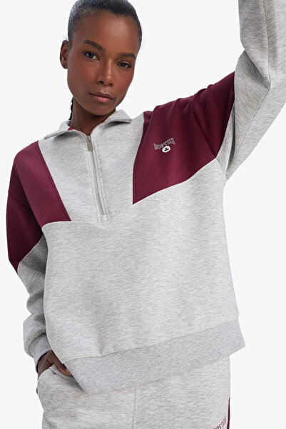 DeFacto Nba Boston Celtics Light Gray Women's Sweatshirt E8935Ax/Gr421