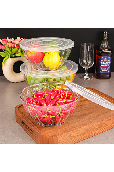 Smart Kitchen Set of 3 acrylic bowls with lids
