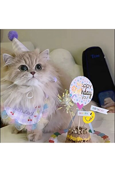 Payidar Hediyelik KEDİ/KÖPEK DOĞUM GÜNÜ PARTİ KIYAFETİ/AKSESUARI (Şapka ve Önlük) Evcil Hayvan Doğum Günü Sürprizi