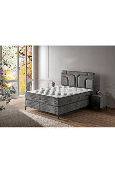 Mobilya Dükkanım Platin 160x200 Çift Kişilik Yatak, Baza, Başlık Seti
