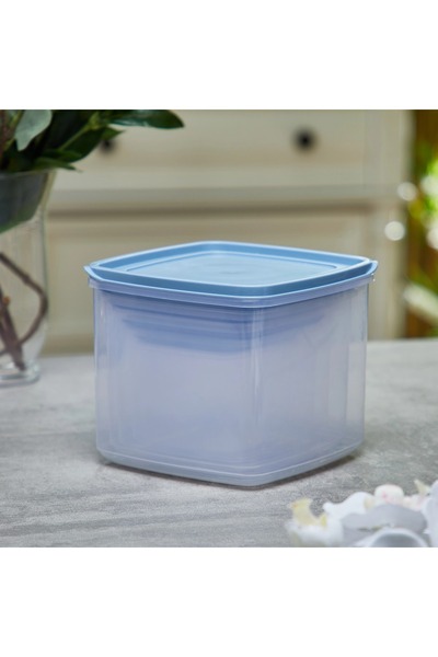 Generic Mesa Food Container - Set of 5