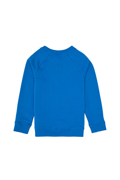 U.S. Polo Assn. Erkek Çocuk Saks Basic Bisiklet Yaka Sweatshirt 50313832-VR032