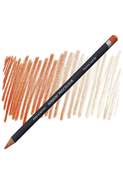 Derwent قلم تلوين جاف سوبرتريند بروكولور 62 أورم ليف