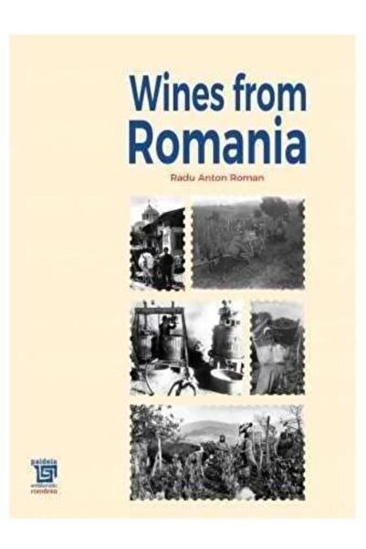Paideia Wines from Romania, Radu Anton Roman