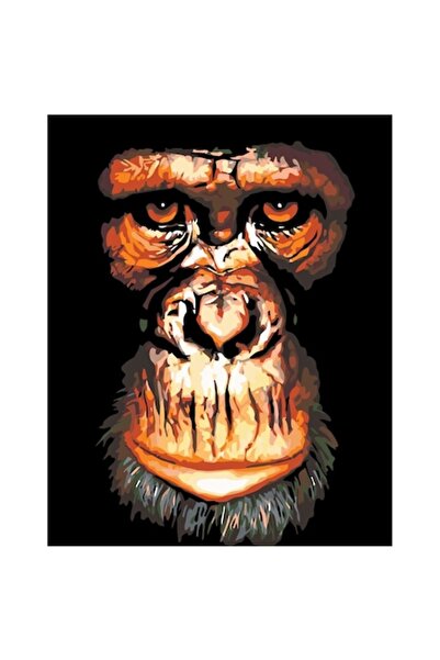 Painting by numbers Set pictura pe numere Maimuta, panza bumbac pe rama lemn,...