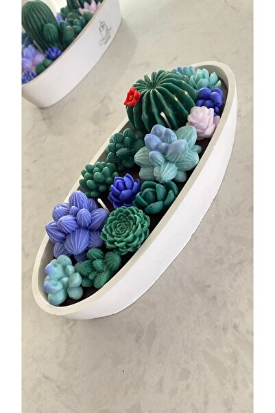 SuMavisi Lavanta Kokulu Kaktüs Saksısı & Kokulu Mum & Skulent & Soya Wax & So...