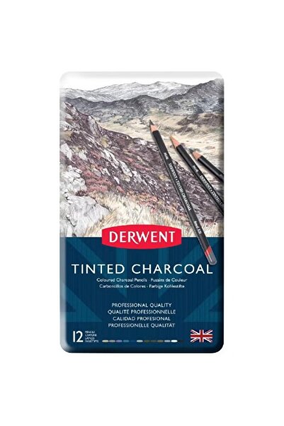 Derwent 12 قلم رصاص ملون من الفحم الملون بألوان الباستيل، 12 لونًا متنوعًا