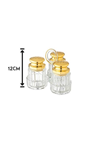 ORIAN مجموعة من 3 هزازات ملح أكريليك مع حامل أكريليك وغطاء ذهبي