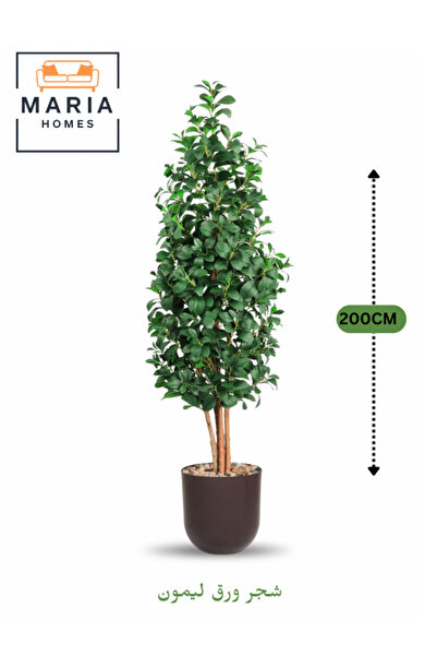 MARIA HOMES شجرة ليمون اصطناعية 200 سم – أوراق خضراء في وعاء بلاستيكي بني لدي...