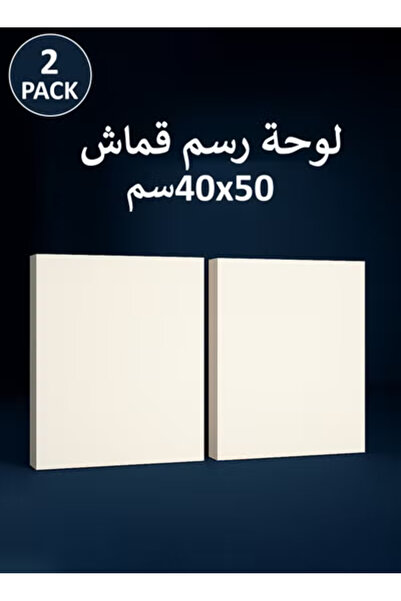 Taimi 50x40 cm Pre-Stretched Cotton Canvas – 2pcs for Acrylic & Oil Painting