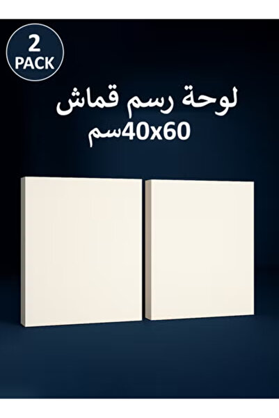 Taimi 60x40 cm Pre-Stretched Cotton Canvas – 2pcs for Acrylic & Oil Painting