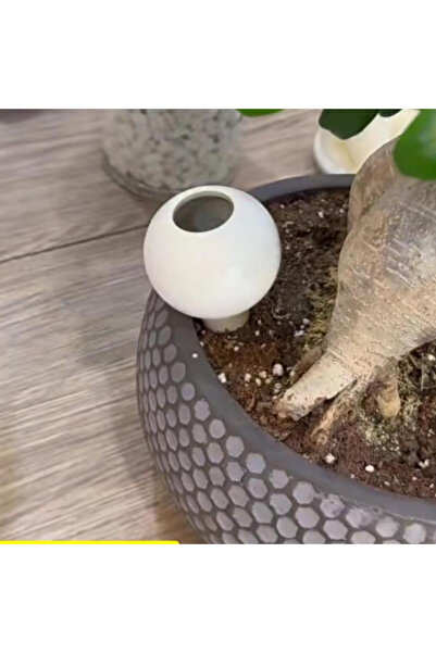 Generic Drop Nature, Self-Watering Plant Assistant, 420ml, Pearl Green, 23cm