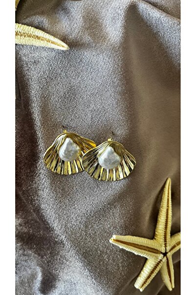 stainles steel Deniz Kabuğu Tasarımlı Paslanmaz Çelik kadın küpe