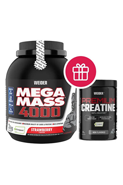 Weider Mega Mass 4000 Protein Supplement, 3 kg, Chocolate