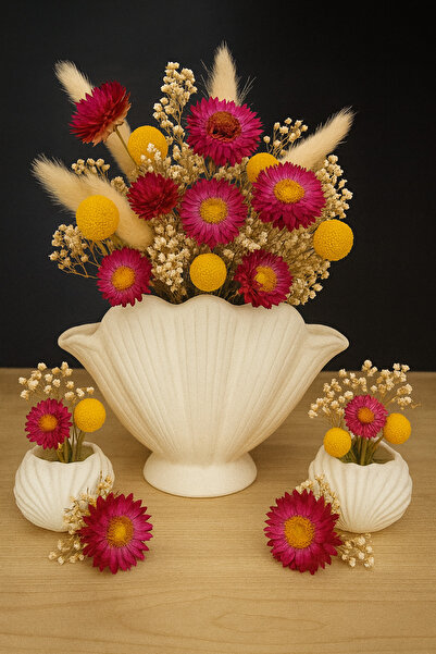 LalezarHome Decorative Oyster Vase Set – Set of 3 Stylish Tabletop Accessories