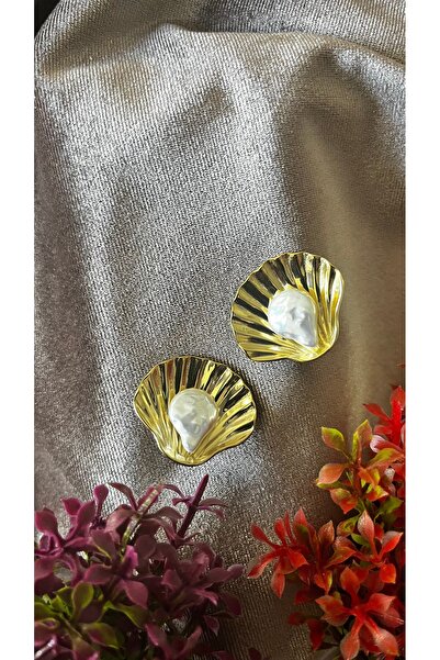 stainles steel Deniz Kabuğu Tasarımlı Paslanmaz Çelik kadın küpe