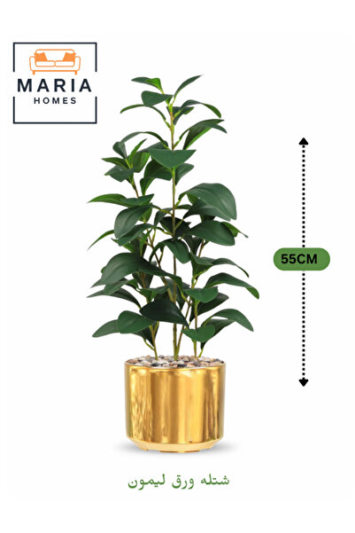 MARIA HOMES نبات أوراق الليمون الاصطناعي 55 سم – أوراق خضراء في وعاء بلاستيكي...