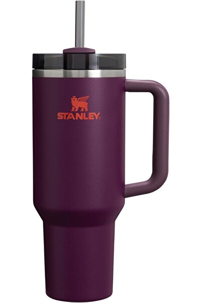 Generic Quencher H2.0 FlowState Stainless Steel Vacuum Insulated Tumbler with Lid and Straw, Plum, 4