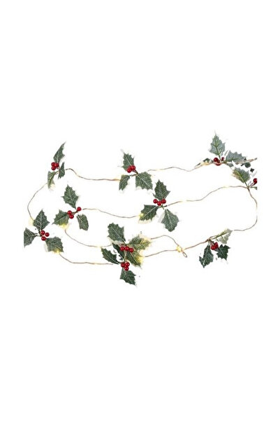 Flippy Instalatie Craciun cu baterii, 2 metri, 20 LED-uri tip fructe rosii, A...