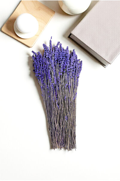 FH finehome Cassia Lavanta Kuru Bitki Mor