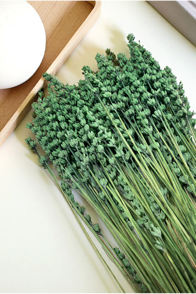 FH finehome Cassia Lavanta Kuru Bitki Yeşil