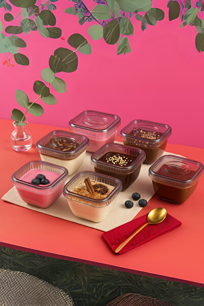 Orvila 6-Piece Bowl Set with Lids |   Breakfast Snack Bowl Presentation Bowl Dessert Storage Container