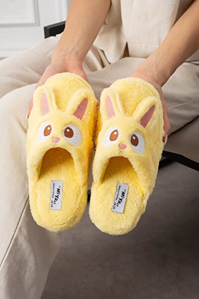 AlbiShoes Cute Rabbit Figured Winter Soft House Slippers No Sound Non-Slip Sole Women's House Slippers