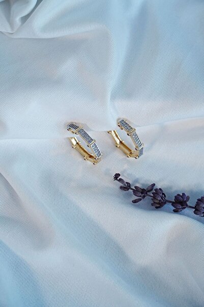 Lisinya Steel Earrings Who Came Who Passed Not Tarnish Tygoo