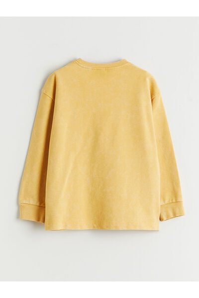 LC Waikiki Sparkling Selections from Shining Store |   Crew Neck Boy's Sweatshirt