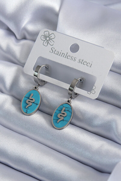 Lisinya 316L Steel Silver Color Oval Blue Stone Snake Figure Women's Earrings...