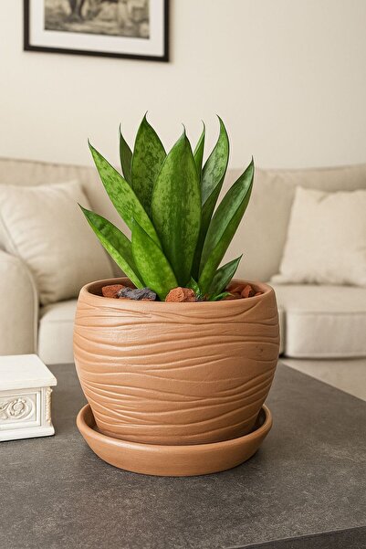 VAZO DEKOR SAKSI VAZO el yapımı dogal bahçe ve ev dekorasyonu ürünleri aksesu...