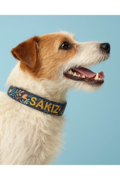 lusi-doog Kişiye Özel Köpek Boyun Tasması İsme Özel Köpek Tasması İsimli Köpe...