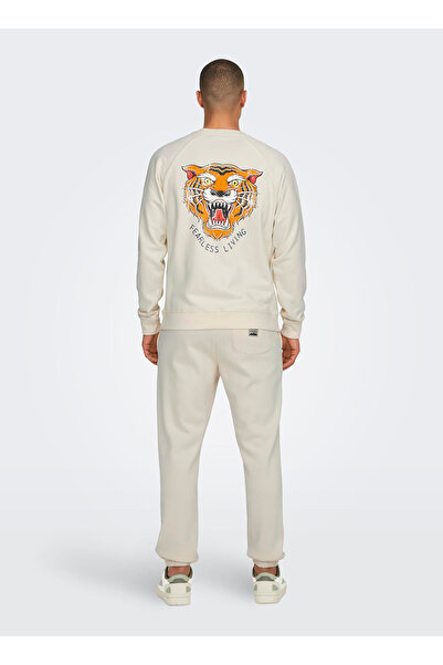 Only & Sons Plain Collar White Men's Sweatshirt Onsmichi Life Reg Crew Neck Sweat