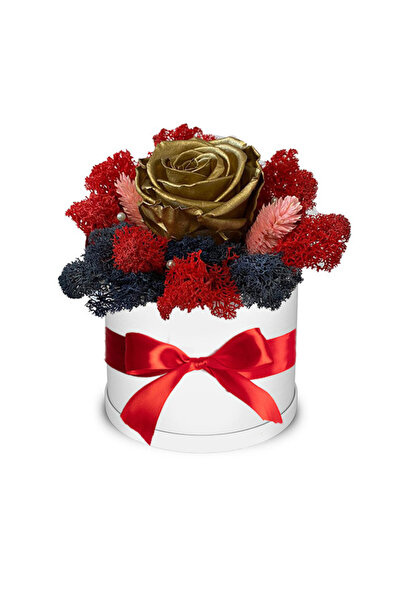 velve Trandafir criogenat Autum Vibes decorat in cutie alba cu licheni natura...