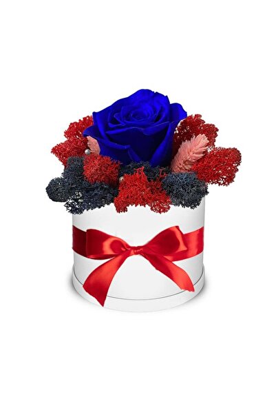 velve Trandafir criogenat Autum Vibes decorat in cutie alba cu licheni naturali stabilizati, Albastru