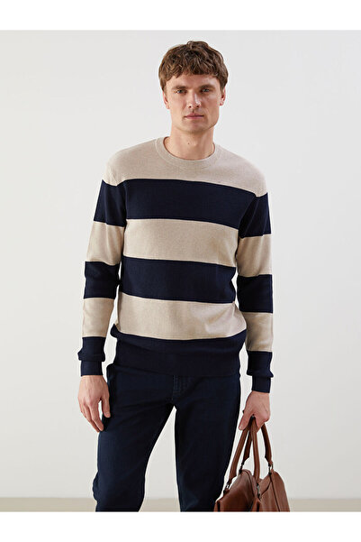 LC Waikiki Crew Neck Long Sleeve Men's Tricot Sweater